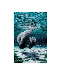 Trademark Global Dann Spider Warren Mermaids Of Crystal River Canvas Art - 19.5 X 26