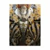 Trademark Global David Galchutt Monarch Black And Silver Canvas Art - 19.5 X 26