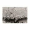 Trademark Global Kurt Shaffer Photographs Intricate Ice Crystals On My Window Canvas Art - 36.5 X 48