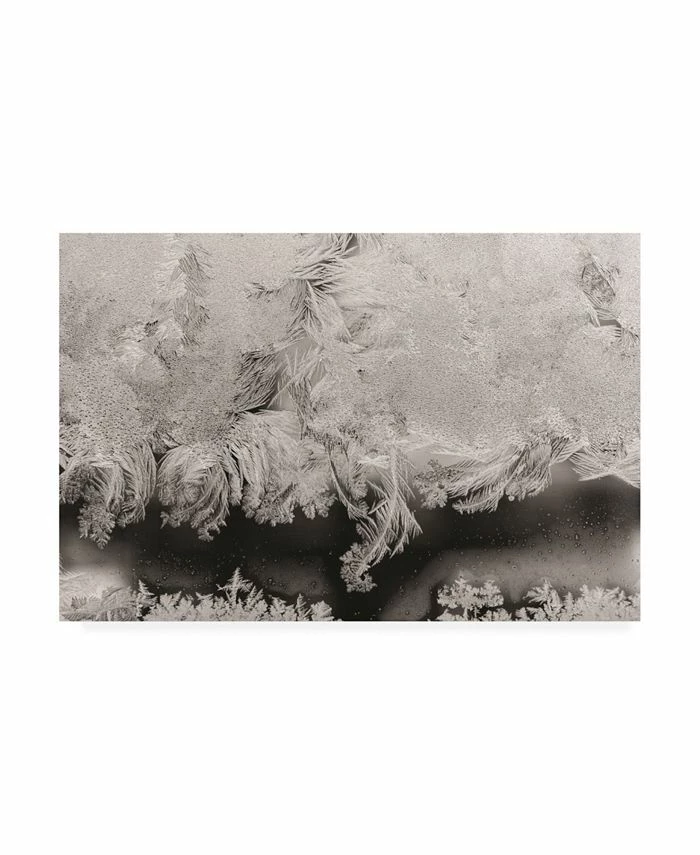 Trademark Global Kurt Shaffer Photographs Intricate Ice Crystals On My Window Canvas Art - 36.5 X 48