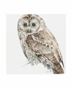 Trademark Global Lisa Audit Forest Friends III Soft Shade Canvas Art - 15.5 X 21