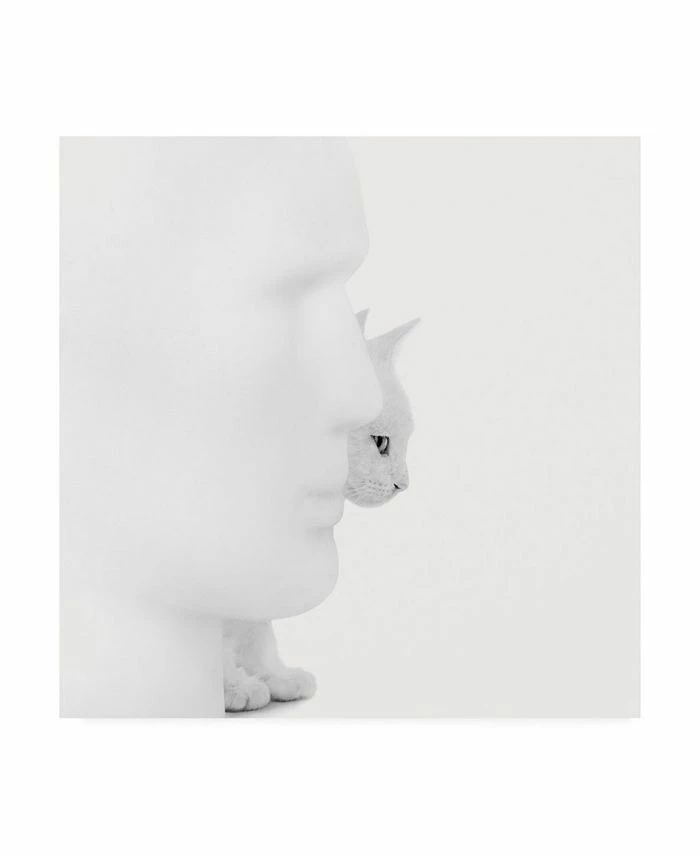 Trademark Global Jon Bertell Mystique Canvas Art - 15.5 X 21