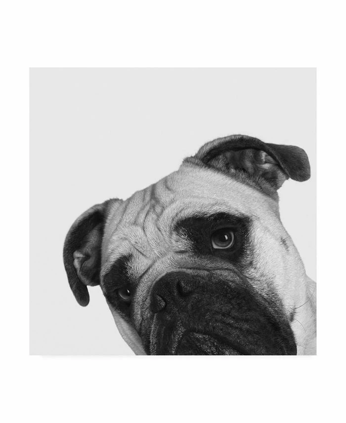 Trademark Global Jon Bertell Que Pasa? Canvas Art - 36.5 X 48