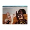 Trademark Global Lucia Hefferna Selfie With Batman Canvas Art - 19.5 X 26