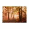 Trademark Global Leif Londal Calm Walk In Colors Canvas Art - 20 X 25
