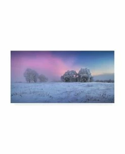 Trademark Global Sergei Shabunevich Trees Covered In Snow Canvas Art - 20 X 25