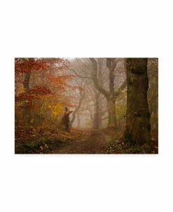 Trademark Global Leif Londal My Autumn Walk Canvas Art - 37 X 49