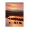 Trademark Global Michael Budden Sanctuary Orange Canvas Art - 20 X 25
