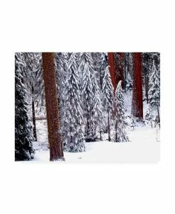 Trademark Global Monte Nagler Pines In Winter California Canvas Art - 15 X 20