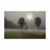 Trademark Global Monte Nagler Two Trees And Sunburst Logan Ohio Canvas Art - 15 X 20