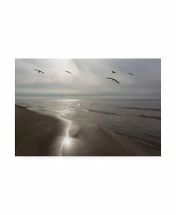 Trademark Global Monte Nagler Five Birds Grand Haven Michigan Color Canvas Art - 15 X 20