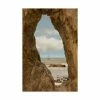 Trademark Global Monte Nagler Ruby Beach Washington St. Canvas Art - 20 X 25