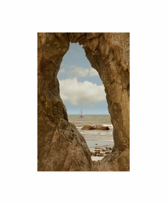 Trademark Global Monte Nagler Ruby Beach Washington St. Canvas Art - 20 X 25