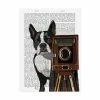 Trademark Global Fab Funky Boston Terrier Photographer Camera Canvas Art - 27 X 33.5