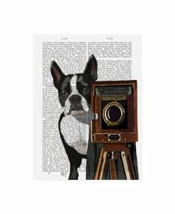 Trademark Global Fab Funky Boston Terrier Photographer Camera Canvas Art - 27 X 33.5