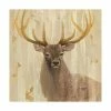 Trademark Global Albena Hristova Forest King Canvas Art - 19.5 X 26