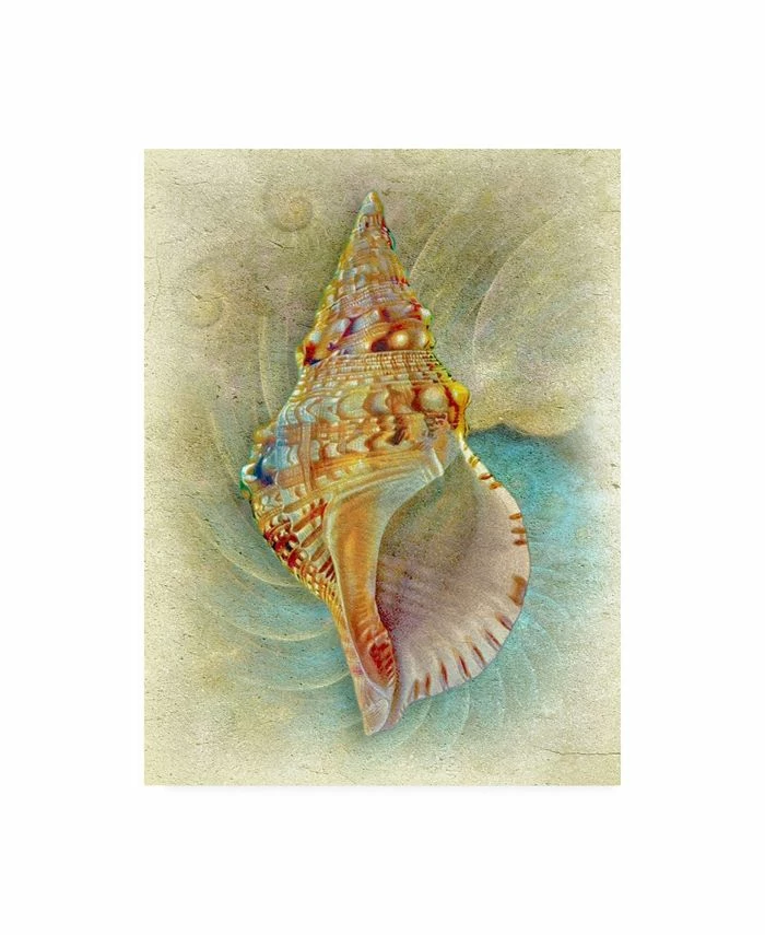 Trademark Global Steve Hunziker Aquatica I Canvas Art - 36.5 X 48