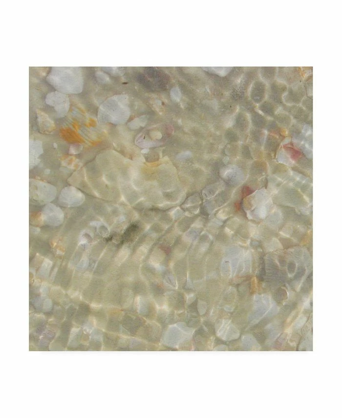 Trademark Global Pam Ilosky Abstract Canvas Art - 15.5 X 21