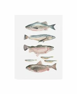 Trademark Global Emma Scarvey Animals Canvas Art - 19.5 X 26