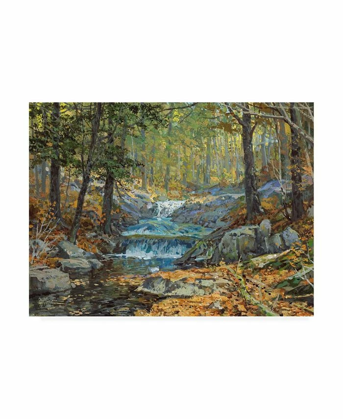 Trademark Global Peter Snyder Glen Creek Waterfalls Canvas Art - 15.5 X 21