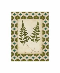 Trademark Global Vision Studio Moroccan Ferns I Canvas Art - 27 X 33.5