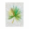 Trademark Global Chariklia Zarris Ocean Side Palms II Canvas Art - 20 X 25