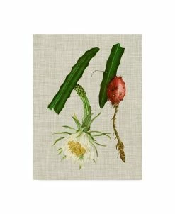 Trademark Global Vision Studio Elegant Tropicals II Canvas Art - 20 X 25