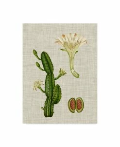 Trademark Global Vision Studio Elegant Tropicals III Canvas Art - 15 X 20