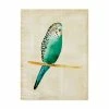 Trademark Global Chariklia Zarris Fanciful Birds II Canvas Art - 20 X 25