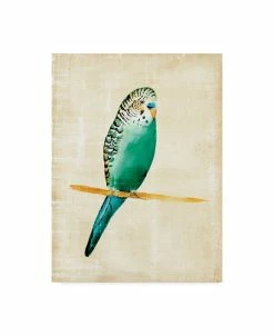 Trademark Global Chariklia Zarris Fanciful Birds II Canvas Art - 20 X 25