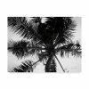 Trademark Global Debra Van Swearingen Palm Tree Looking Up III Canvas Art - 37 X 49