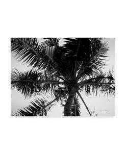 Trademark Global Debra Van Swearingen Palm Tree Looking Up III Canvas Art - 37 X 49