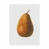Trademark Global Wild Apple Portfolio Pierpont On White Canvas Art - 15 X 20