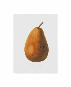 Trademark Global Wild Apple Portfolio Pierpont On White Canvas Art - 15 X 20