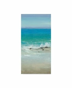 Trademark Global Im Otoole Salt Spray I Canvas Art - 15 X 20