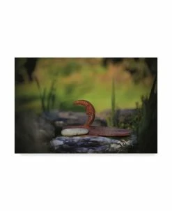 Trademark Global Christine Sainte-Laudy My Friend The Moon Canvas Art - 15 X 20