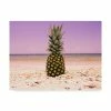 Trademark Global Adam Mead South Florida Pineapple I Canvas Art - 15 X 20