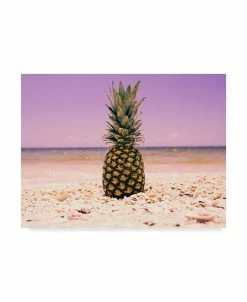 Trademark Global Adam Mead South Florida Pineapple I Canvas Art - 15 X 20