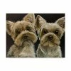 Trademark Global Hippie Hound Studios Yorkies Pair Canvas Art - 15 X 20