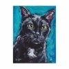 Trademark Global Hippie Hound Studios Cat Black Cat Expressive Canvas Art - 37 X 49
