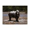 Trademark Global Pip Mcgarry White Rhino Canvas Art - 37 X 49