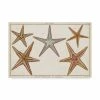 Trademark Global Denis Diderot Starfish Naturelle I Canvas Art - 20 X 25
