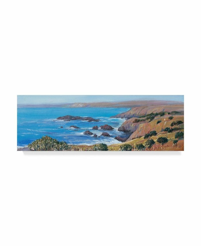 Trademark Global Im Otoole Panoramic Ocean View I Canvas Art - 15 X 20