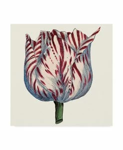 Trademark Global Vision Studio Tulip Garden VI Canvas Art - 15 X 20
