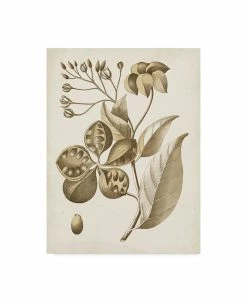 Trademark Global Vision Studio Ochre Botanical II Canvas Art - 20 X 25