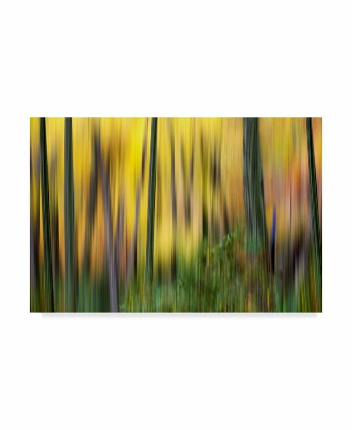 Trademark Global James Mcloughlin Forest Run II Canvas Art - 20 X 25