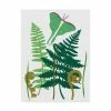 Trademark Global Alicia Ludwig Fern Fantasy Garden I Canvas Art - 20 X 25