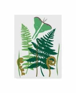 Trademark Global Alicia Ludwig Fern Fantasy Garden I Canvas Art - 20 X 25