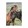 Trademark Global Danny Head Best Friends Horses Canvas Art - 20 X 25
