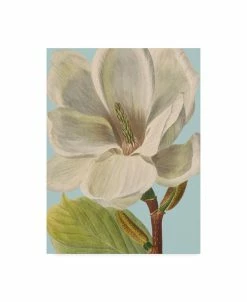 Trademark Global Vision Studio Fresh Florals I Canvas Art - 37 X 49